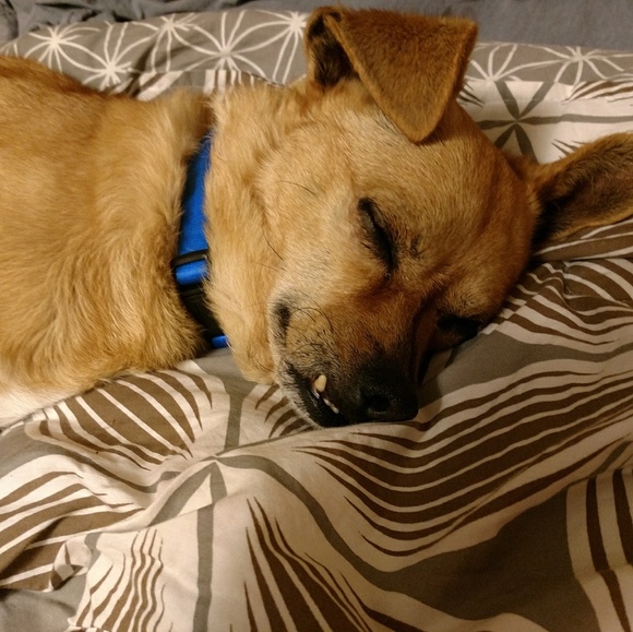 Meet your Posher, Terry n jon - Picture 4 of 5